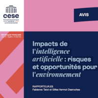 Impacts de l'intelligence artificielle : risques et opportunités pour l'environnement